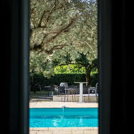 מלון Pomo & Restaurant 4*